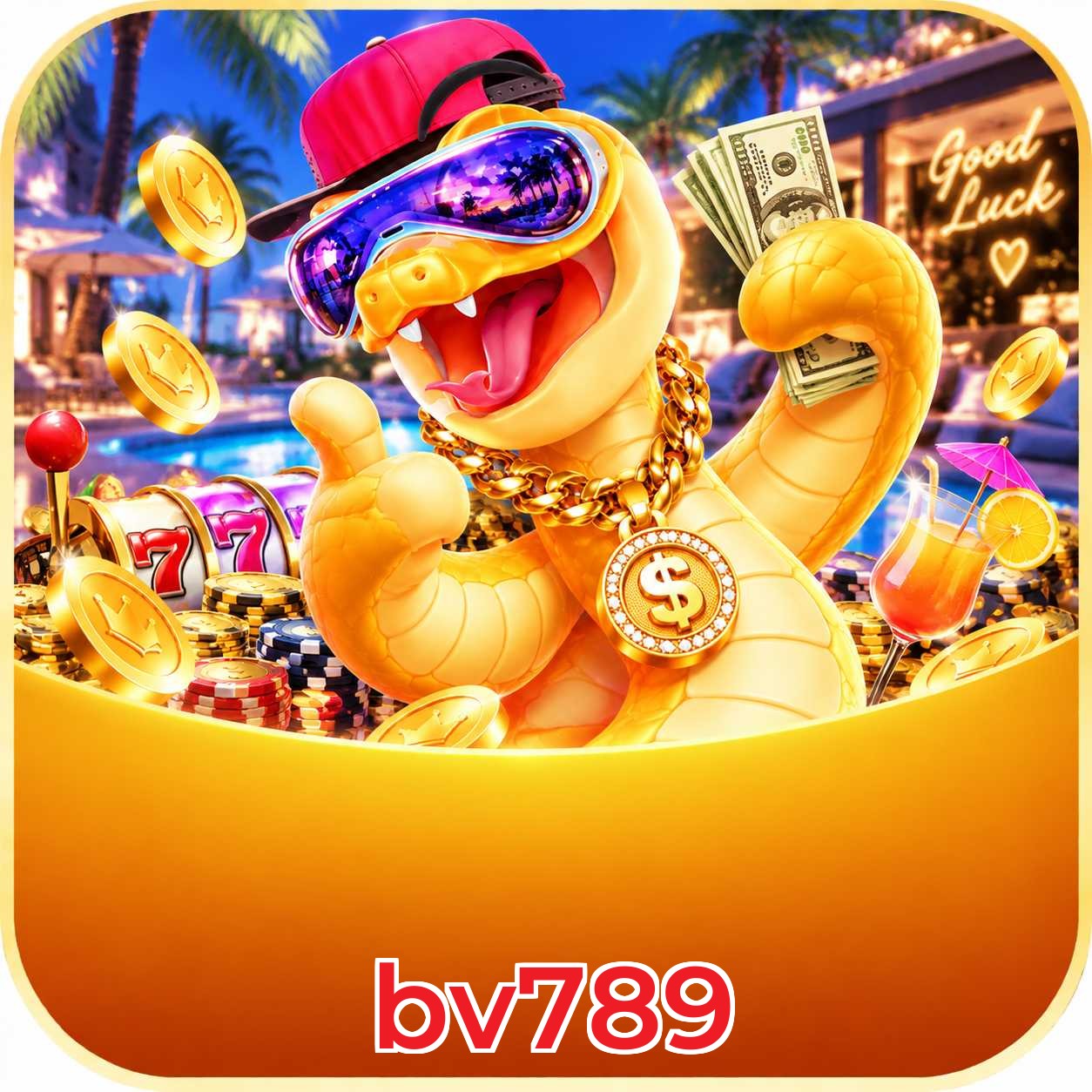 bv789 FAQ