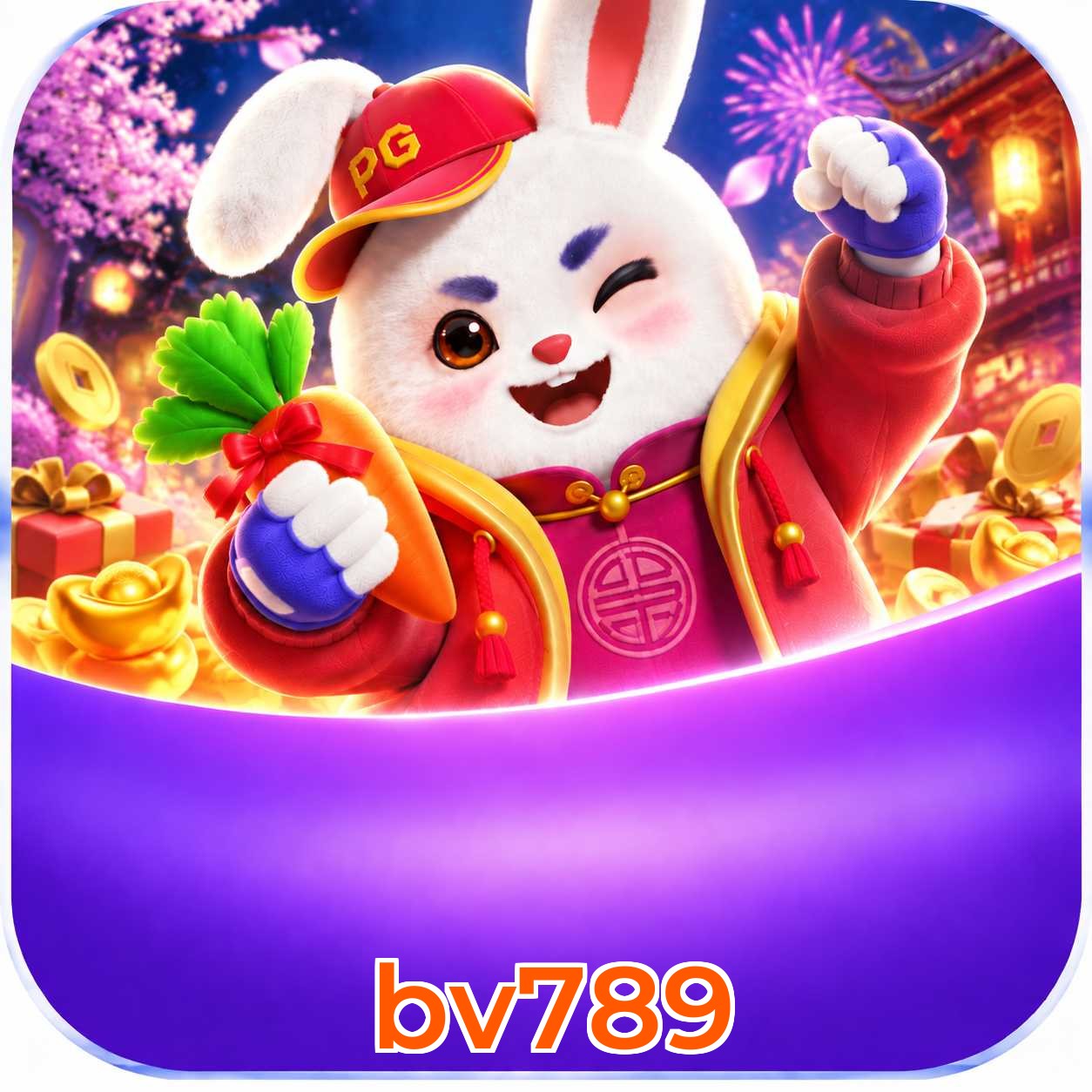 bv789 Logo